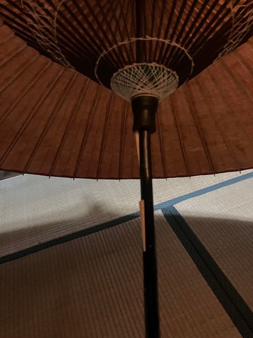 唐傘　傘