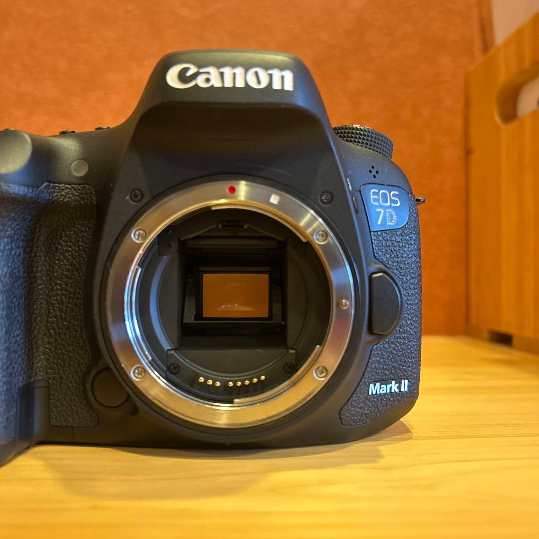 Canon EOS 7d markⅡ ボディ本体　おまけ本付き