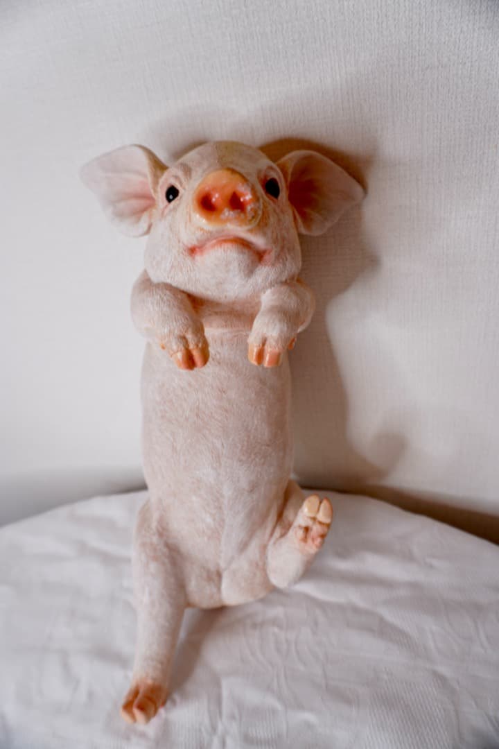 ブタさんのオブジェ 引っ掛けられる インテリア 置物