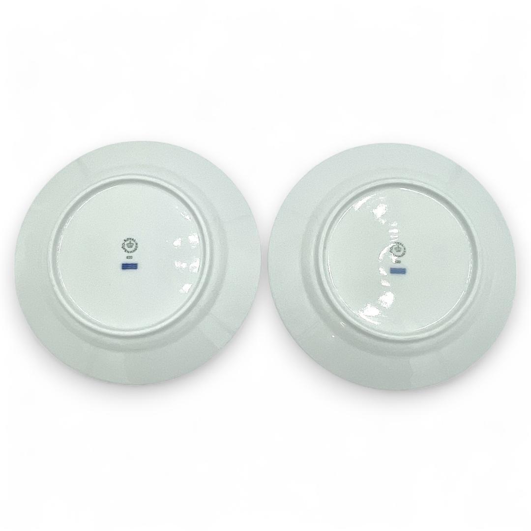 【 】ホワイトエレメンツ /5枚セット