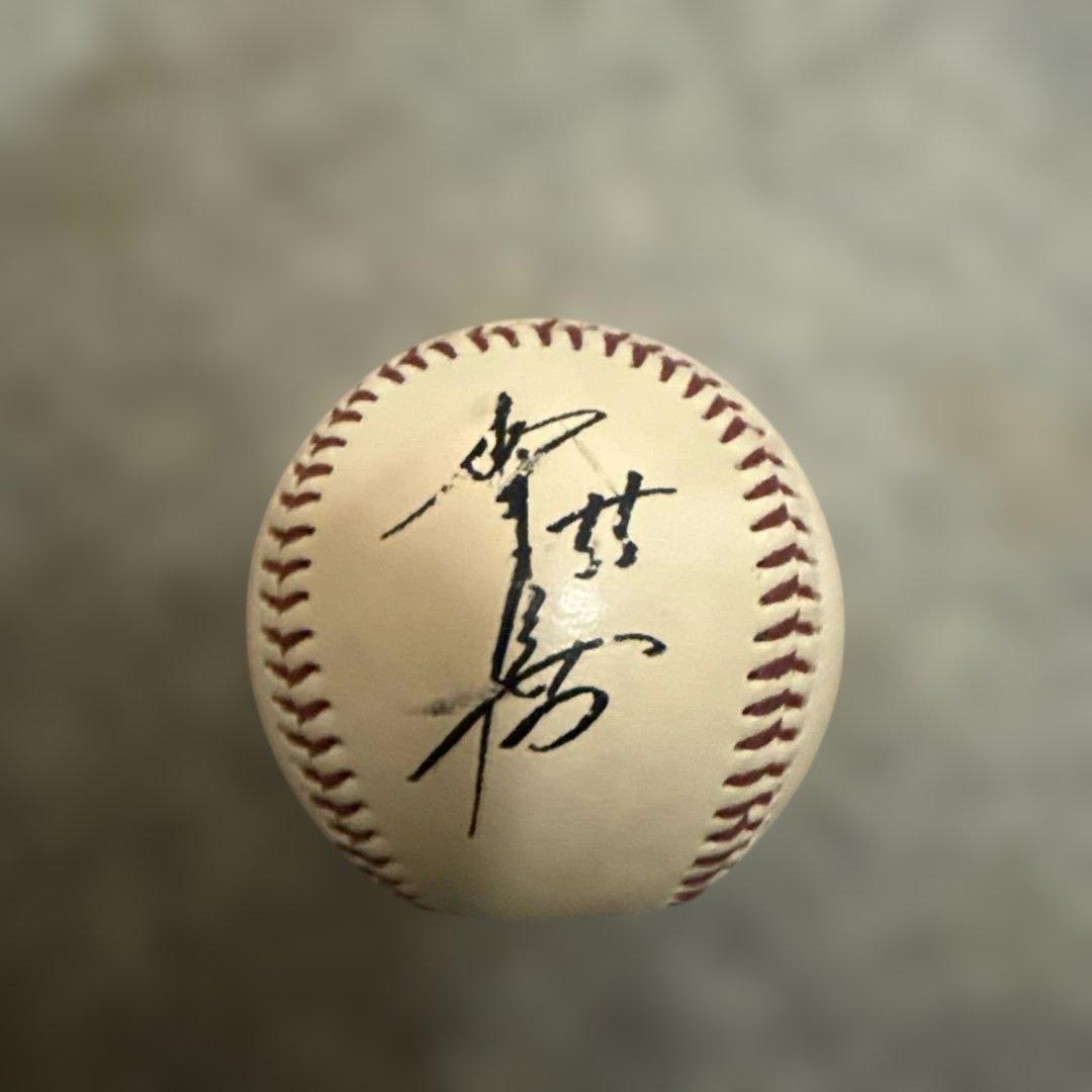 ミズノプロ 硬式用オーダーグローブ 二岡モデル