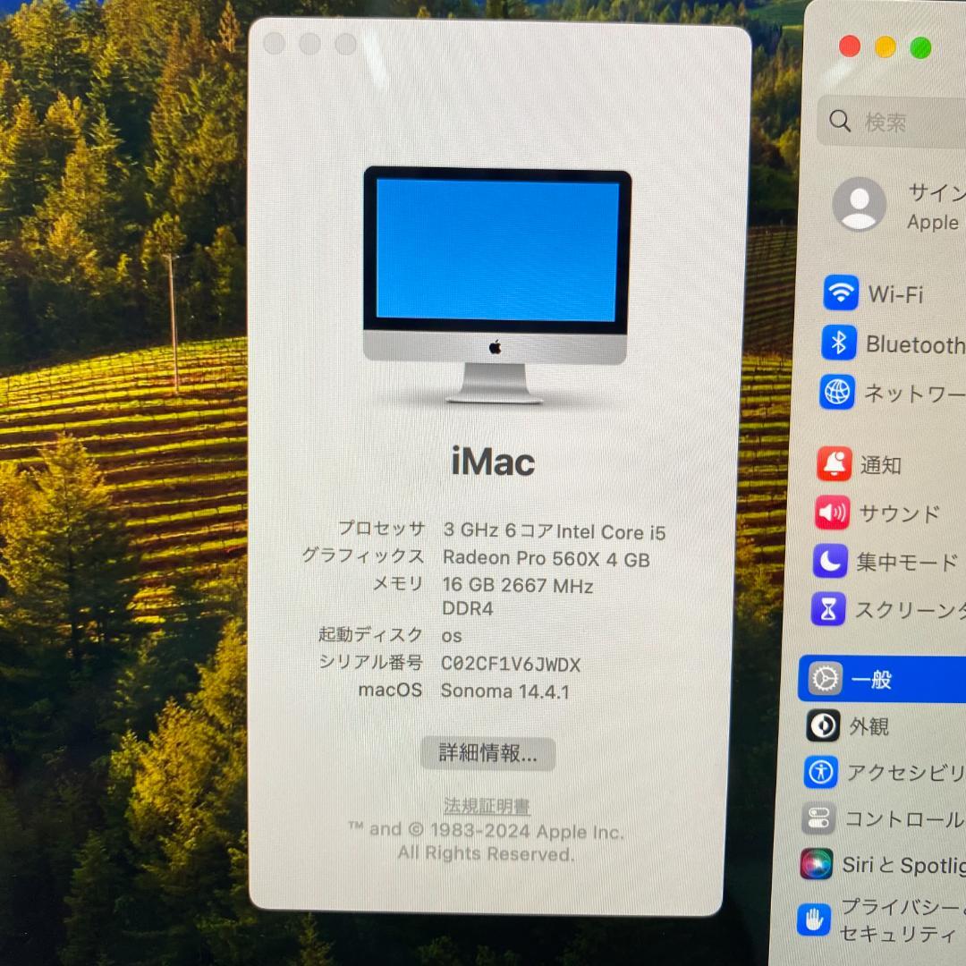 iMac 21.5インチ4K 2019 A2116 i5 16GB 256GB