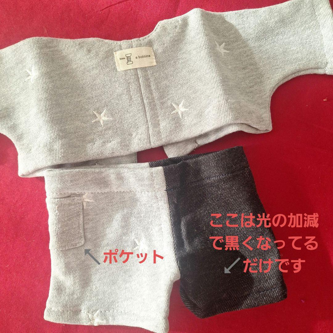 ２体セット◆ウォルドルフ人形C体・ジルケ人形ロッテちゃん　+着せ替え服