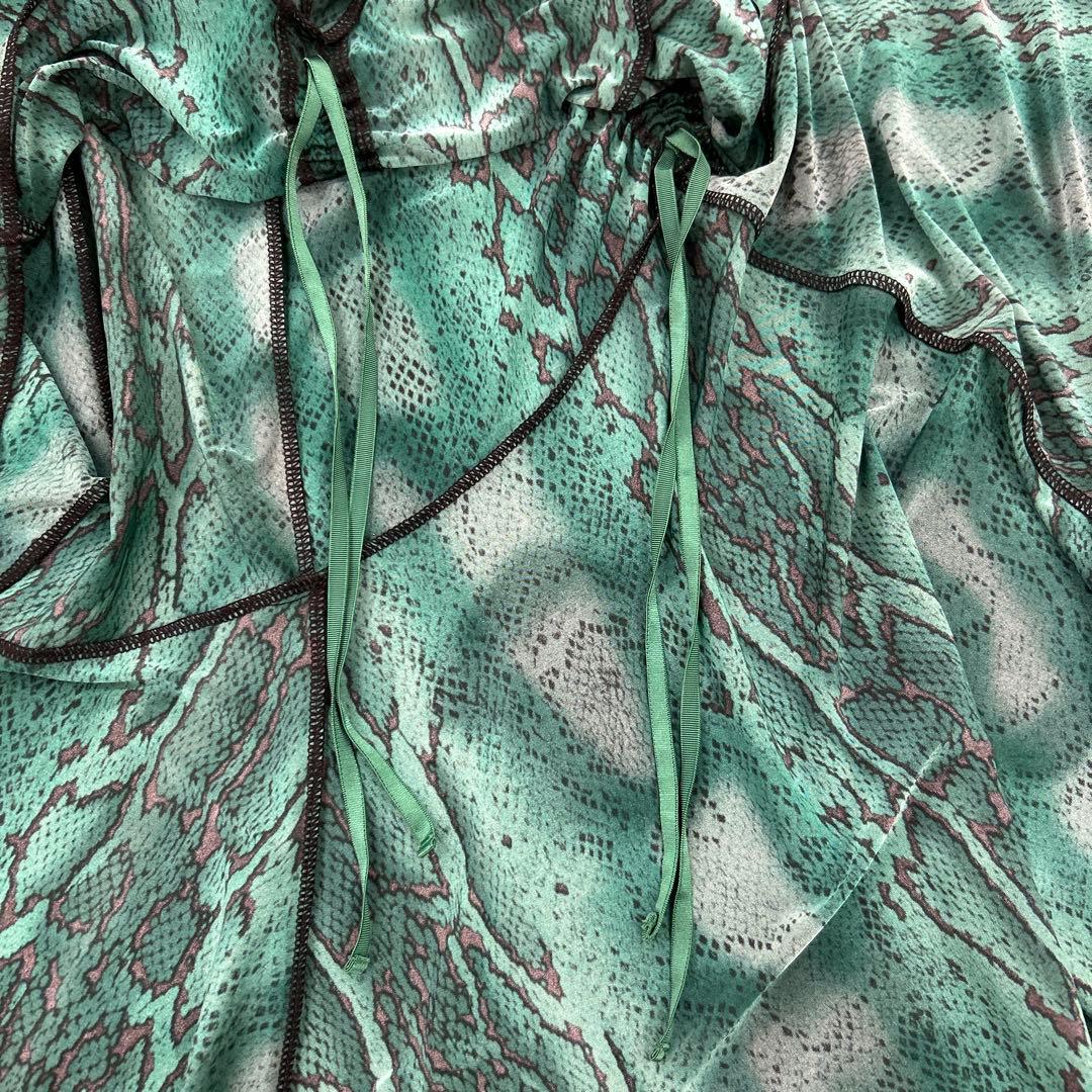 チャコット社交ダンスラテンワンピース緑ヘビ柄