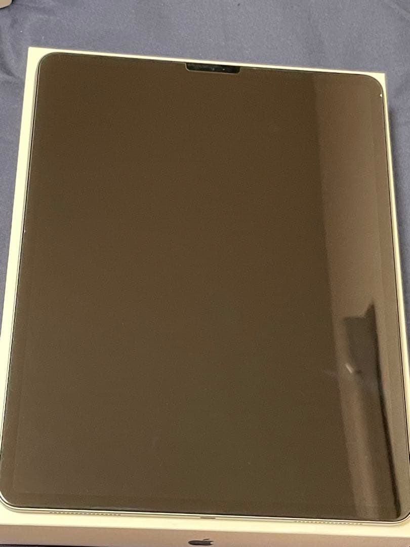 iPad Pro 12.9インチ Apple Pencil付き