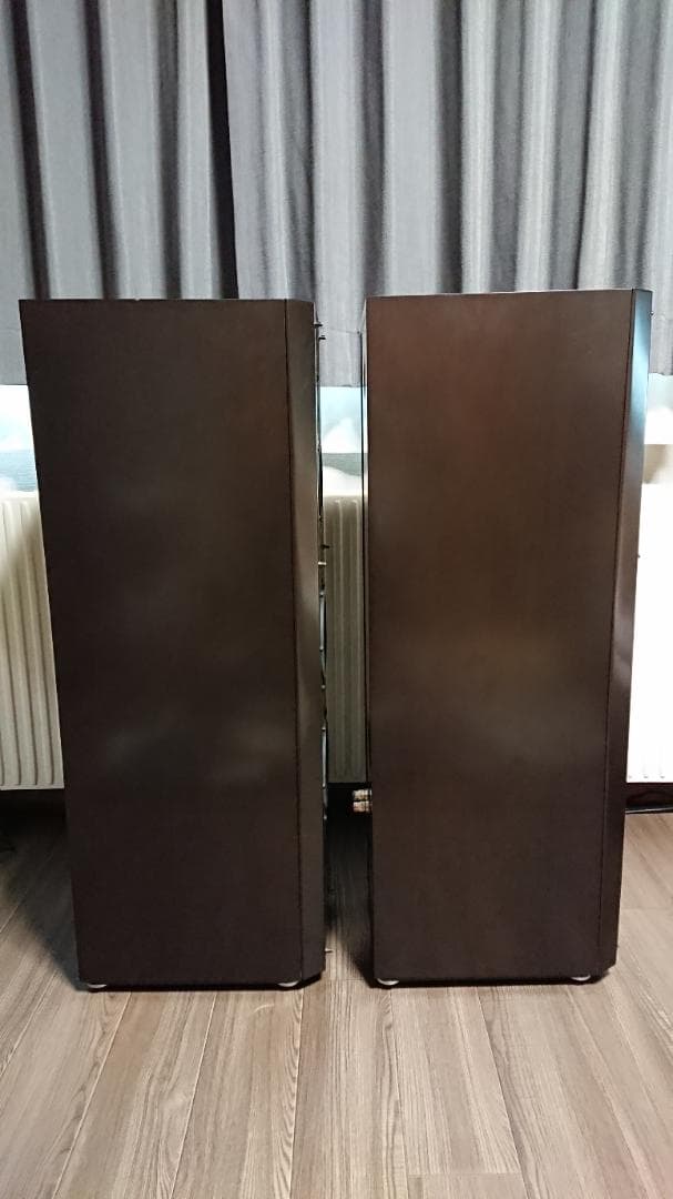 SONY ソニー SS-NA2ES　ペア