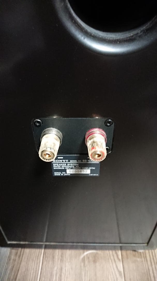 SONY ソニー SS-NA2ES　ペア