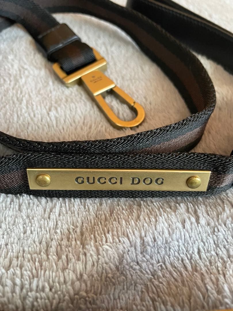 ⭐️新品・未使用⭐️GUCCI DOG 首輪& リード (ブラウン 調整可能)
