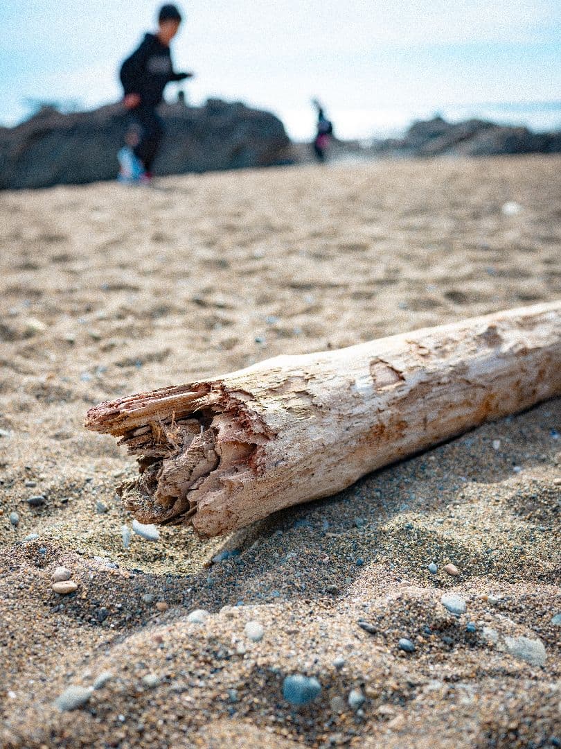 レンズ(単焦点) FUJIFILM GF63mm F2.8 R WR