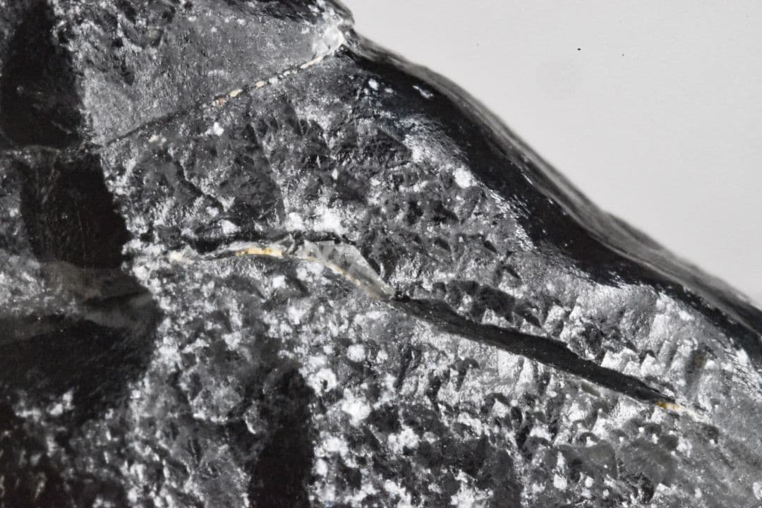 ナイジェリアAkwana産 メルトフローライト