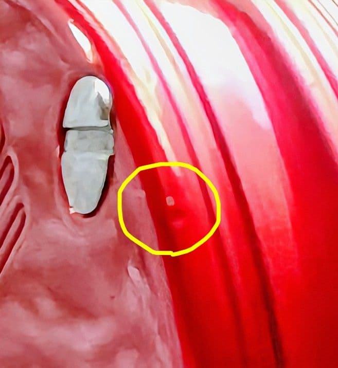 極美品 ABU アブ アンバサダー 2500C ノスタルジア レッド