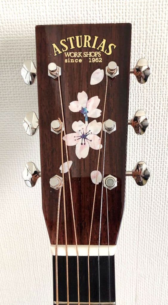 【限定特価】アストリアス ソロ ヘリンボーン セミハードケース+弦2セット