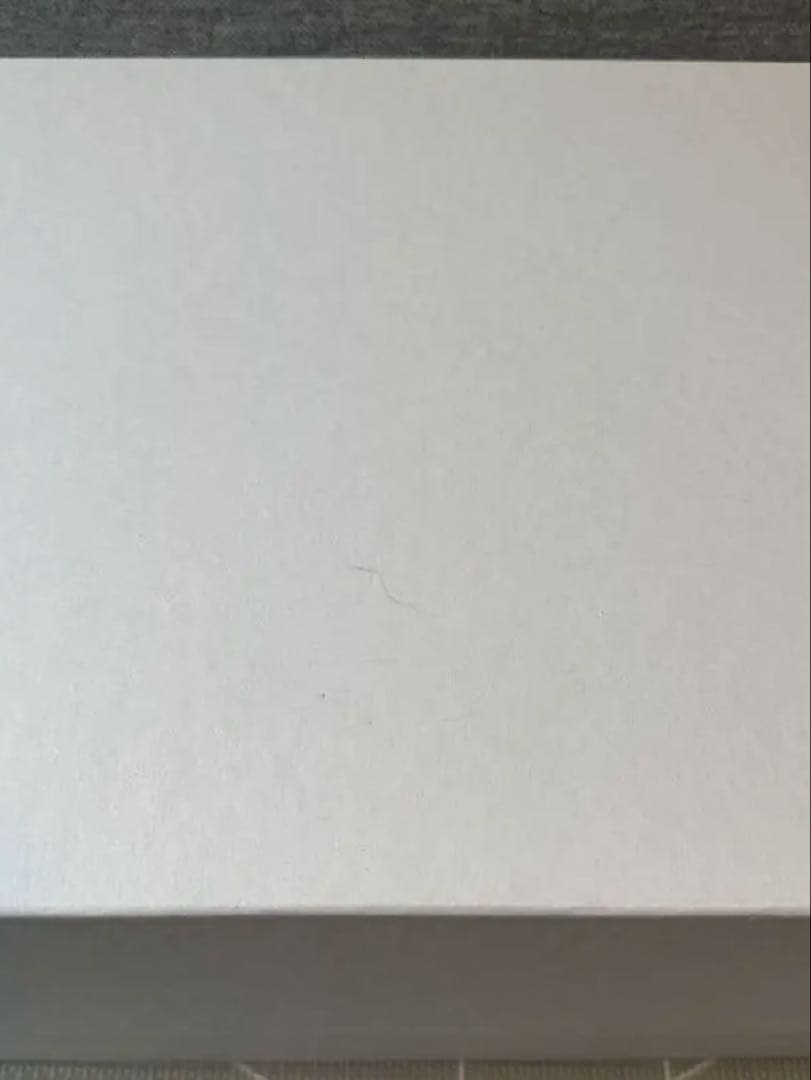 美品　ロエベ　カゴバック　mサイズ