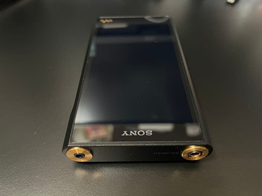 か*ん様 SONY NW-WM1AM2 (ケース+SDカード512GB付き)