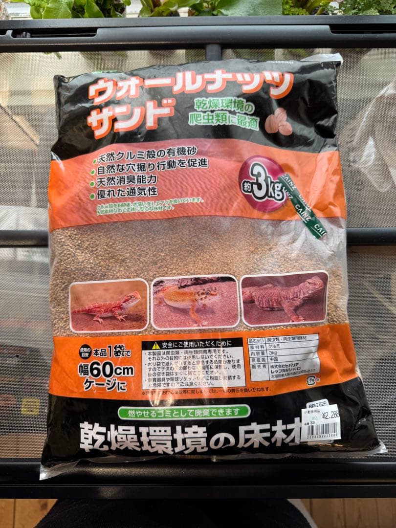 爬虫類　飼育セット　フトアゴ　リクガメ