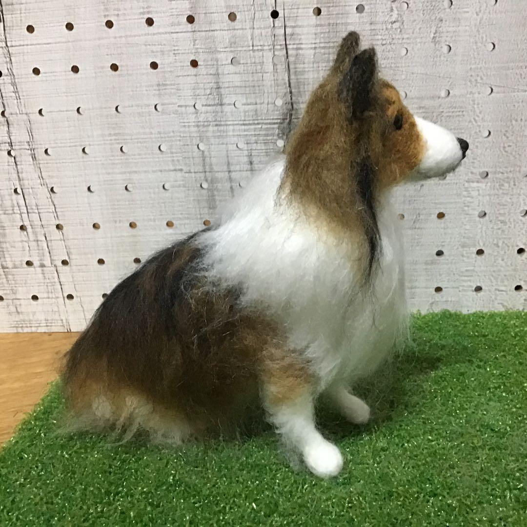【渡辺様ご予約品】シェットランドシープドッグ（お座りポーズ）