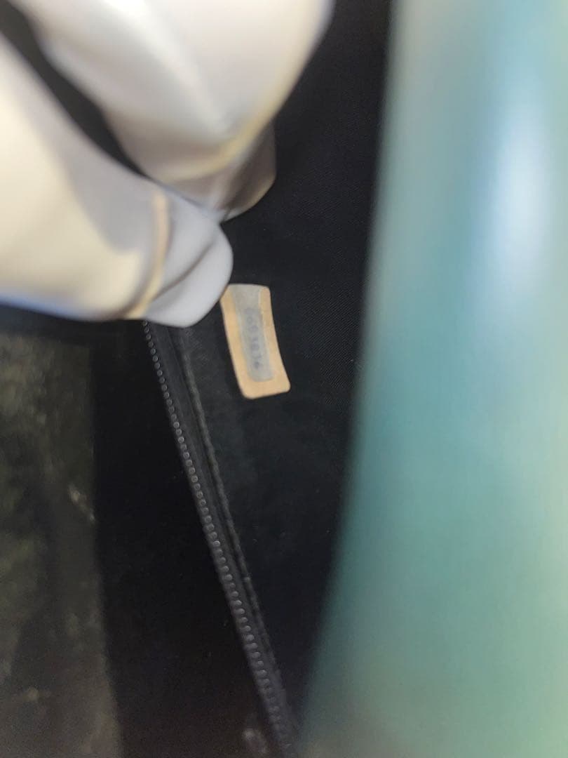 CHANEL リザード チェーンバッグ ヴィンテージ 正規品　ブラック　グリーン