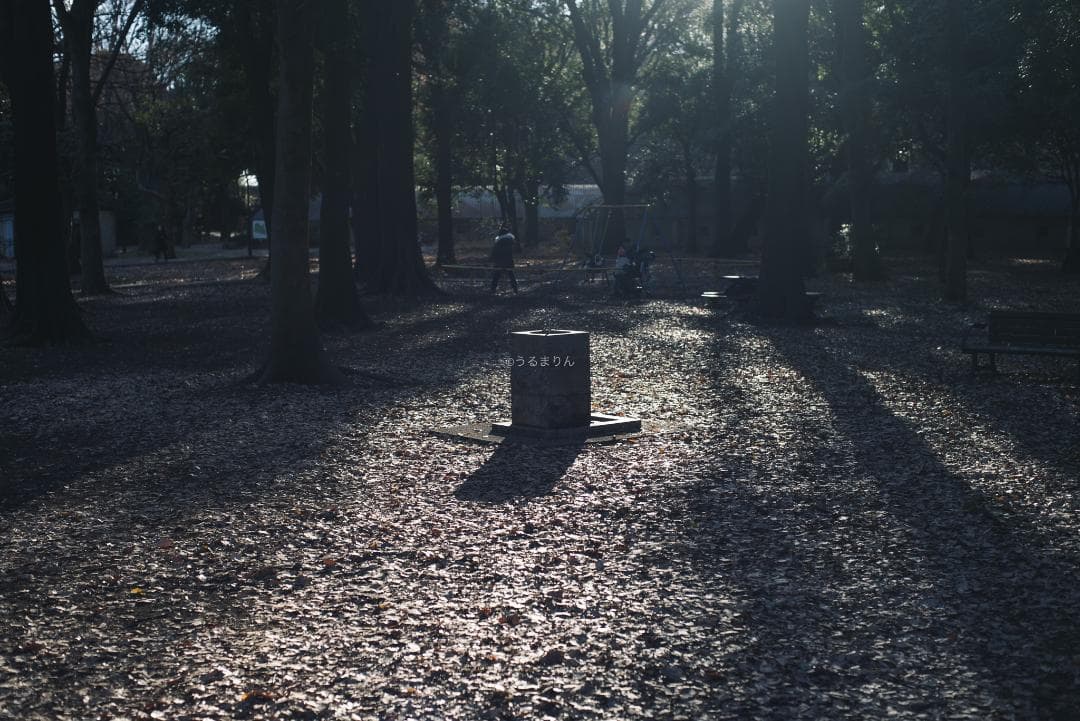 良品！標準の帝王！Planar 50mm F1.4 AEJ オールドレンズ