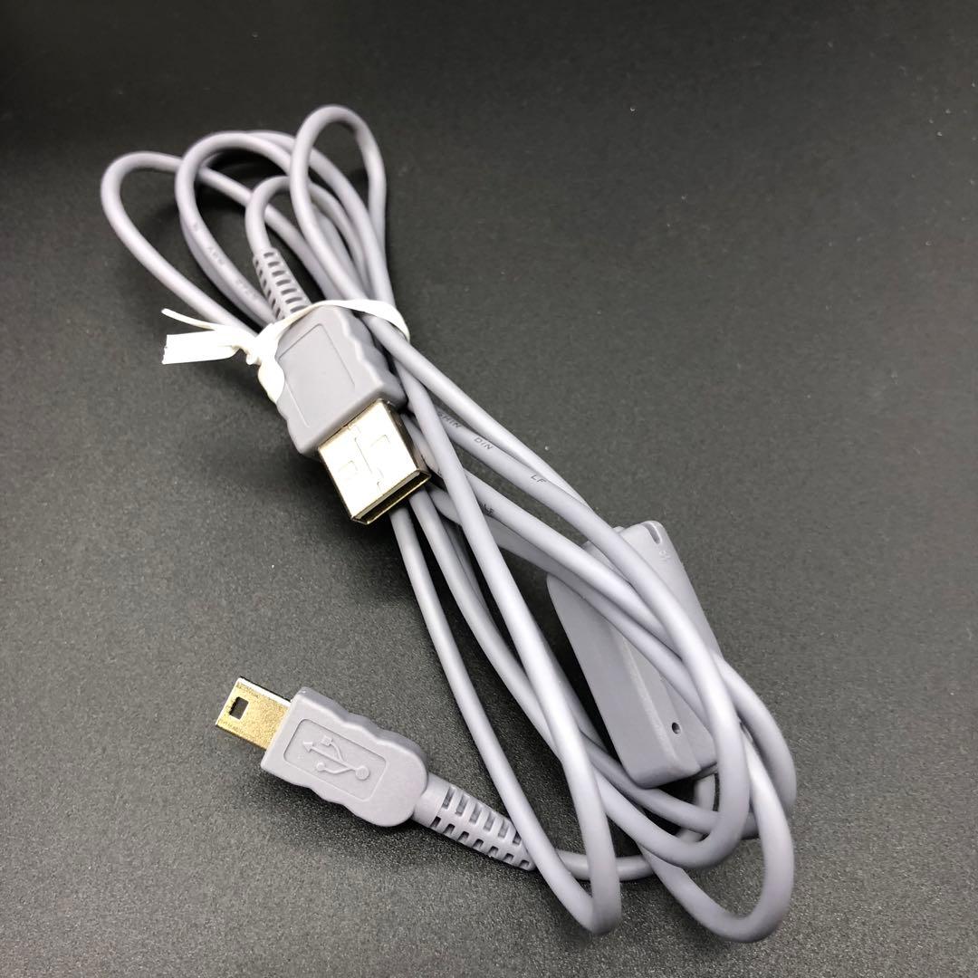 【動作確認済】SONY　Handycam DCR-SR62 ドック付き　ソニー