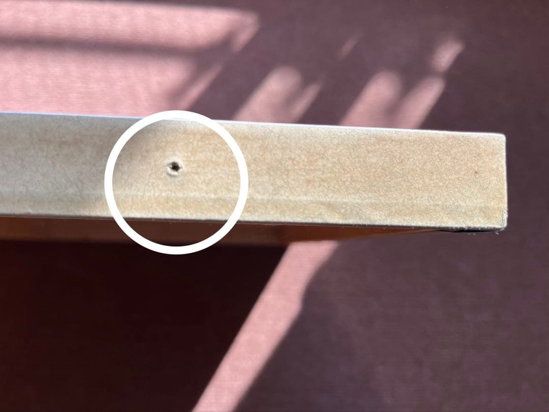 2000年ジャイアンツリーグ優勝・長嶋茂雄監督胴上げ　木製写真パネル