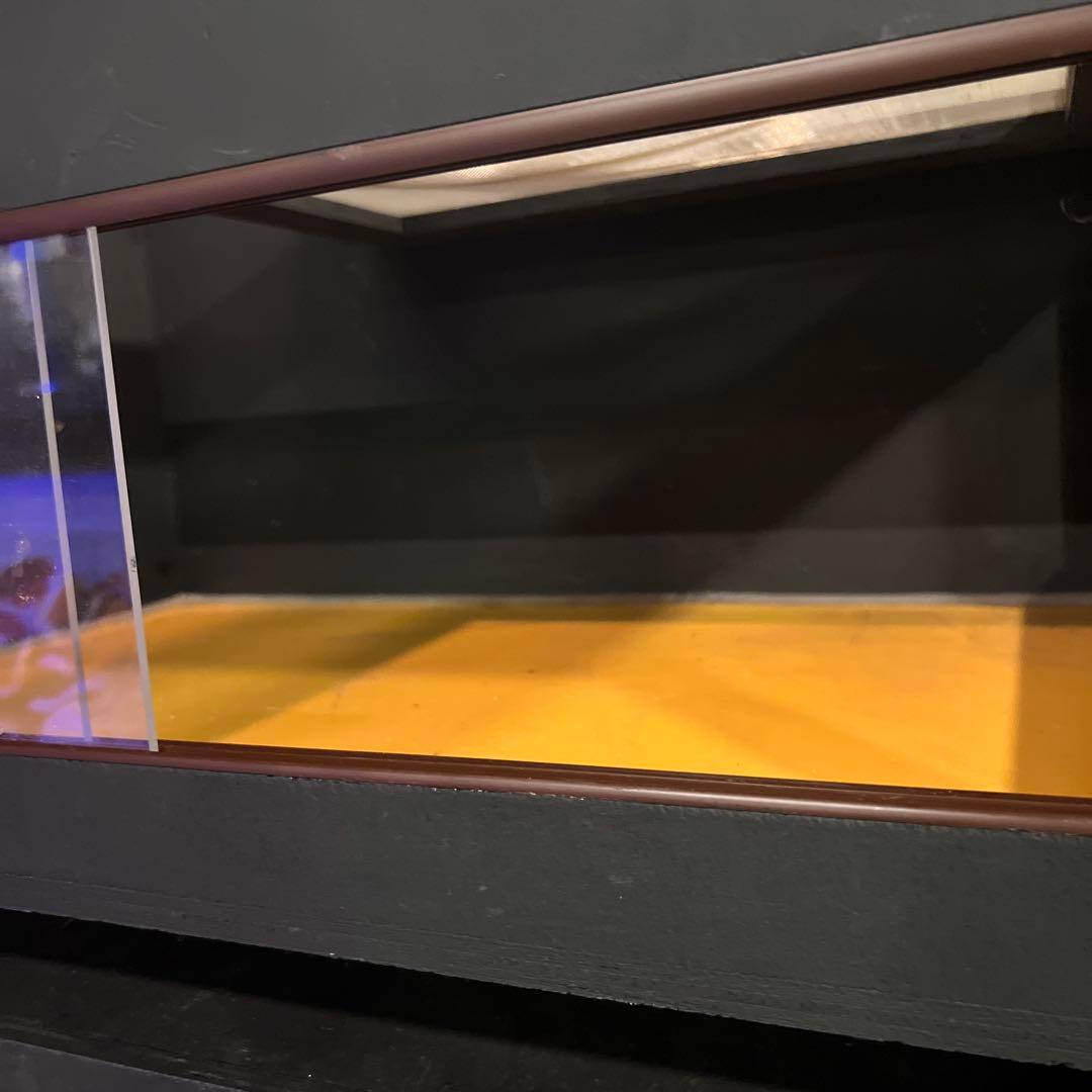 爬虫類　ケージ　木製　引き取り限定　愛知県