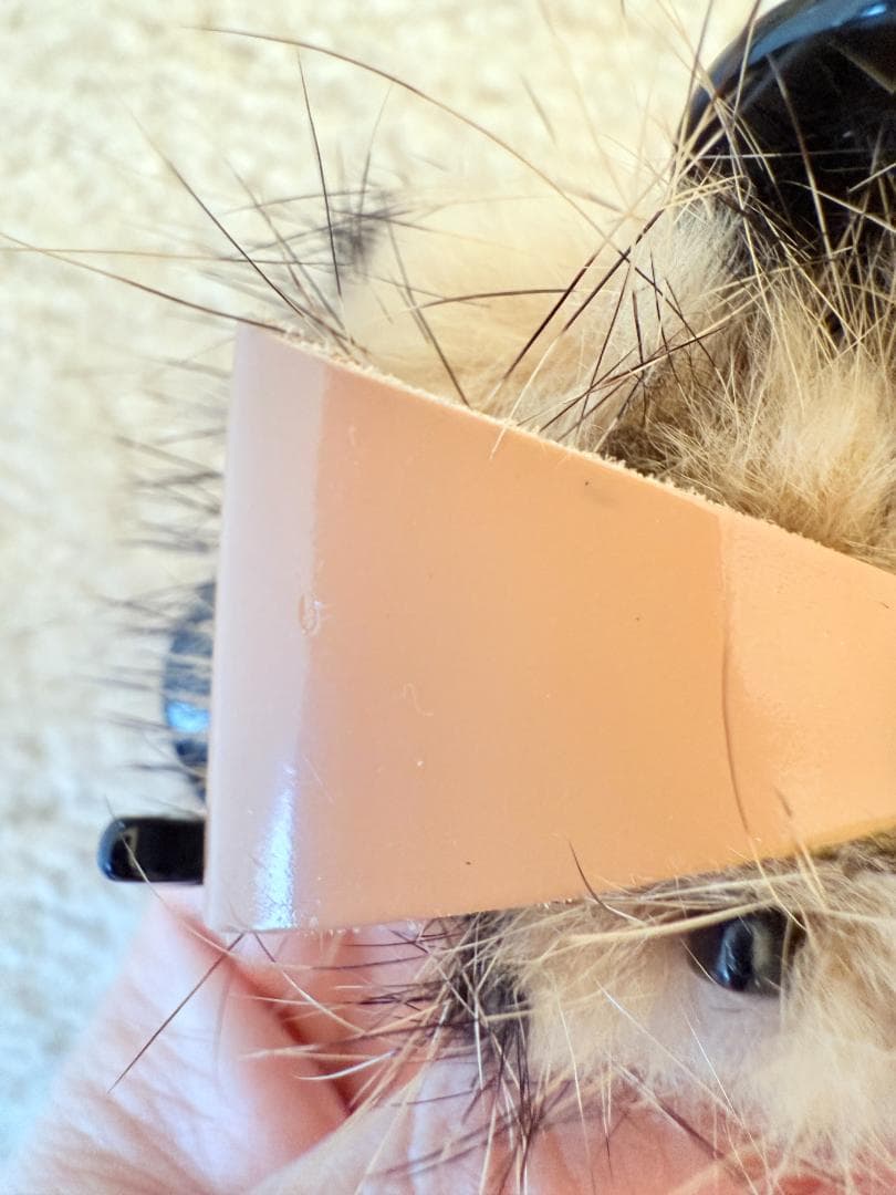 アレクサンドル ドゥ パリ ファー×リボンデザインのヘアクリップ