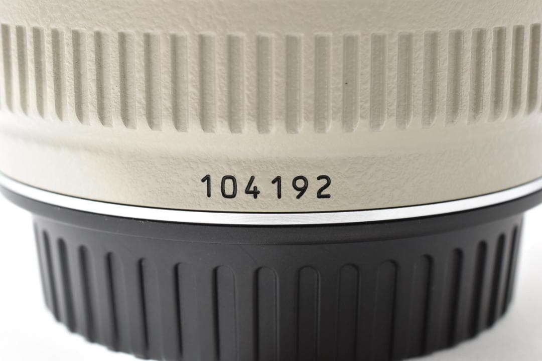 Canon EF 70-200mm F2.8 L USM 望遠ズームレンズ