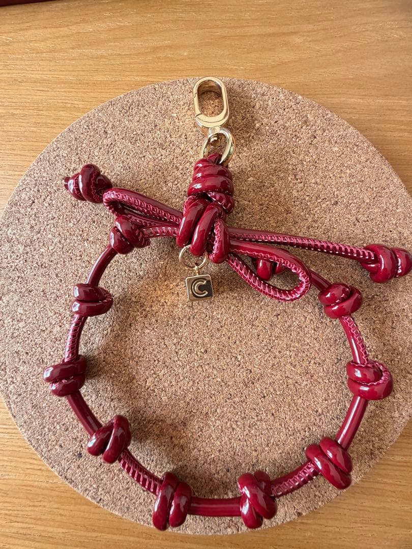 ケースティファイ　iPhone17promaxケース✳︎新品✳︎明日発送