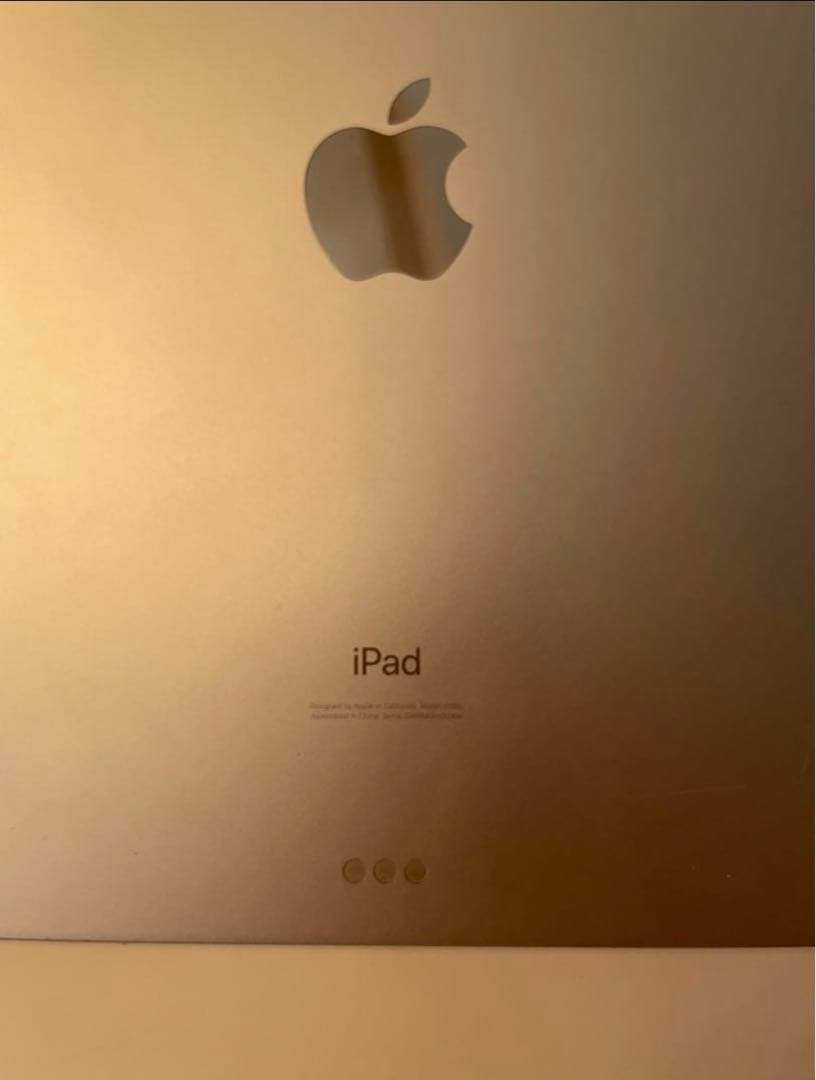 iPad Pro 11 インチ第1世代 256GB 訳ありの為お値下げ相談承り中