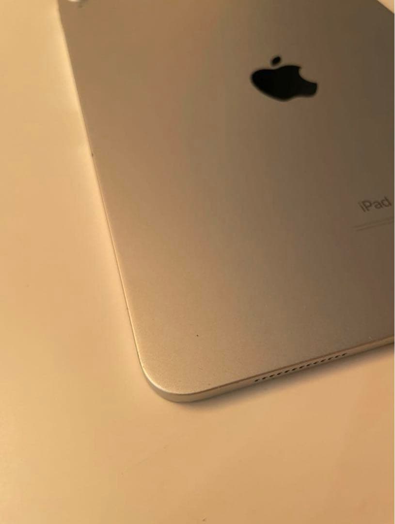 iPad Pro 11 インチ第1世代 256GB 訳ありの為お値下げ相談承り中