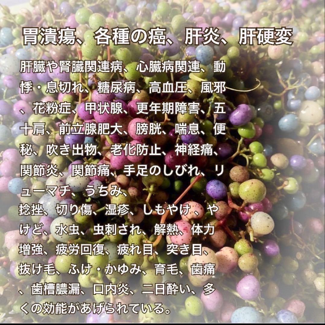 【大容量】馬ぶどう250g×12袋　1年分3kg うまぶどう　薬膳　民間療法