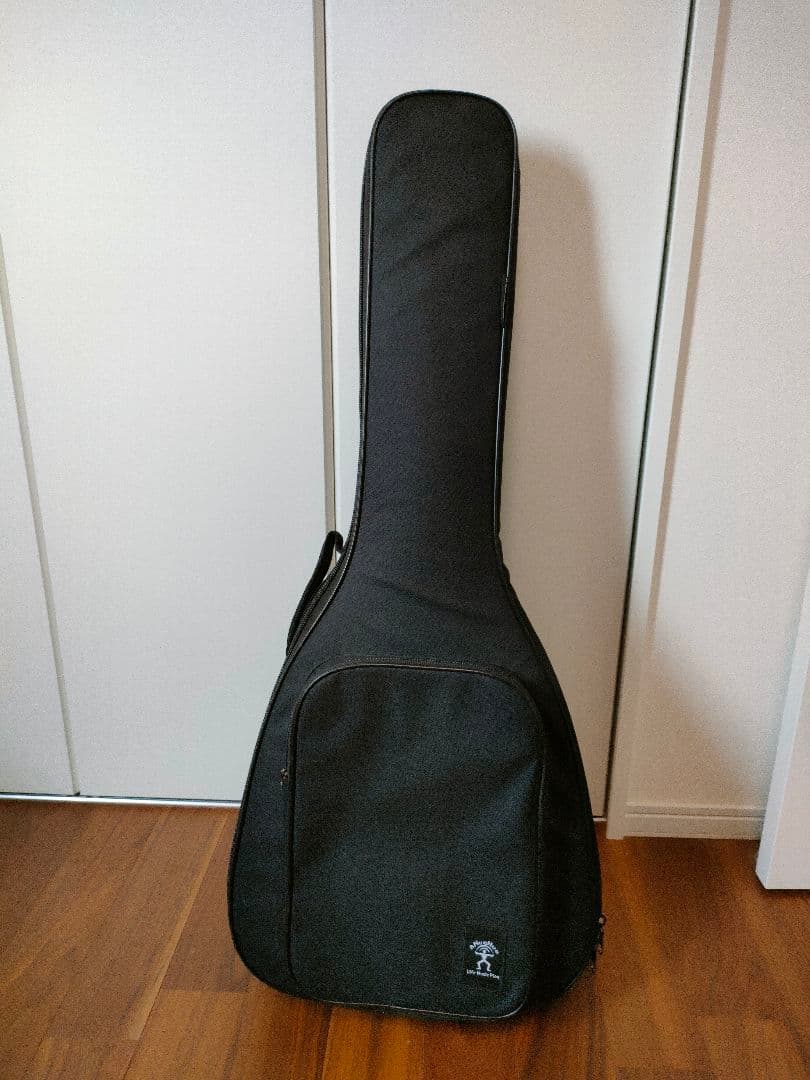 aNueNue Bird MY 20（E）アコースティックギター