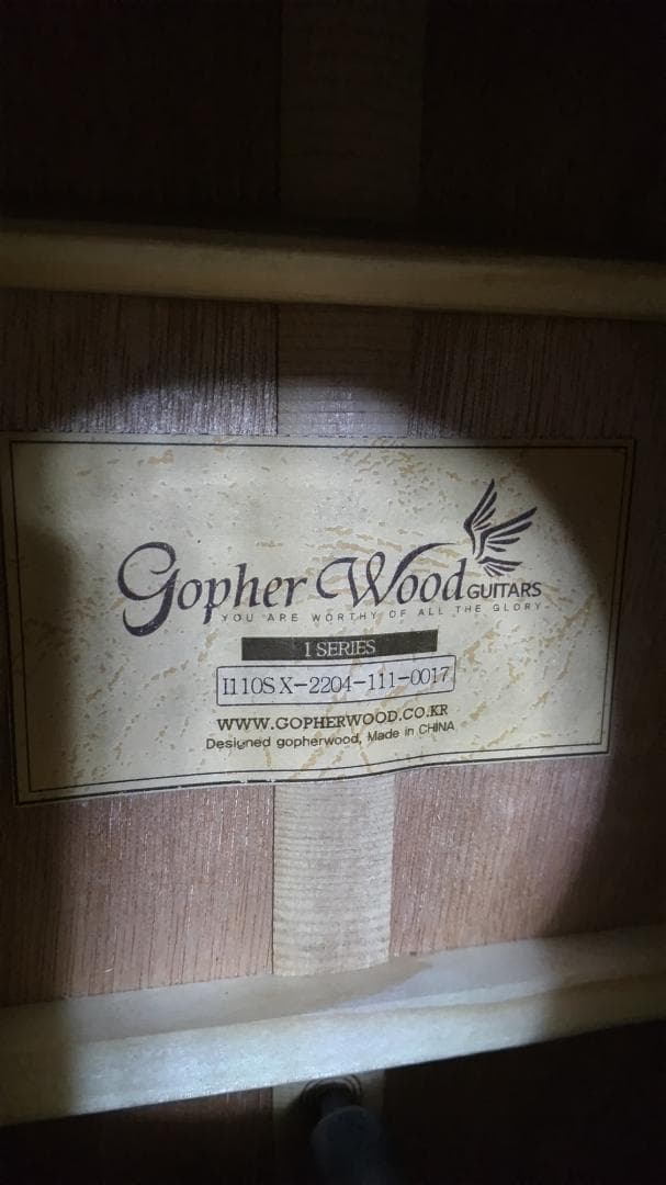 ❤️弦高調整済！「Gopher ゴフェル I110SX 」サウンドピラー内蔵！