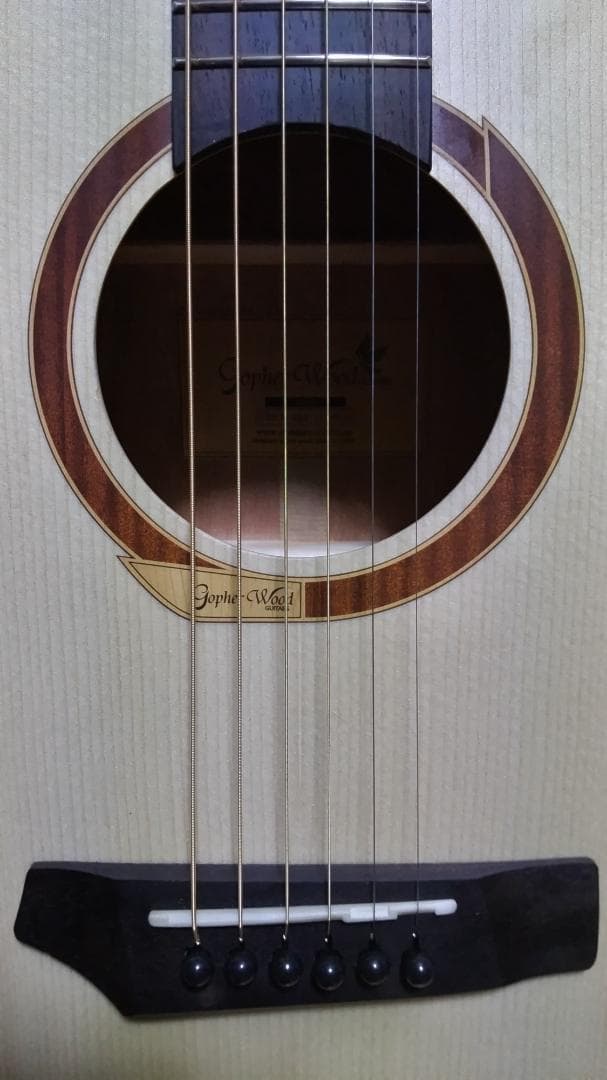 ❤️弦高調整済！「Gopher ゴフェル I110SX 」サウンドピラー内蔵！