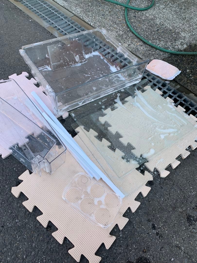 関東限 条件で無料配 22年 ピンク 冷蔵庫 ピンク冷蔵庫 ピンク家電 家電