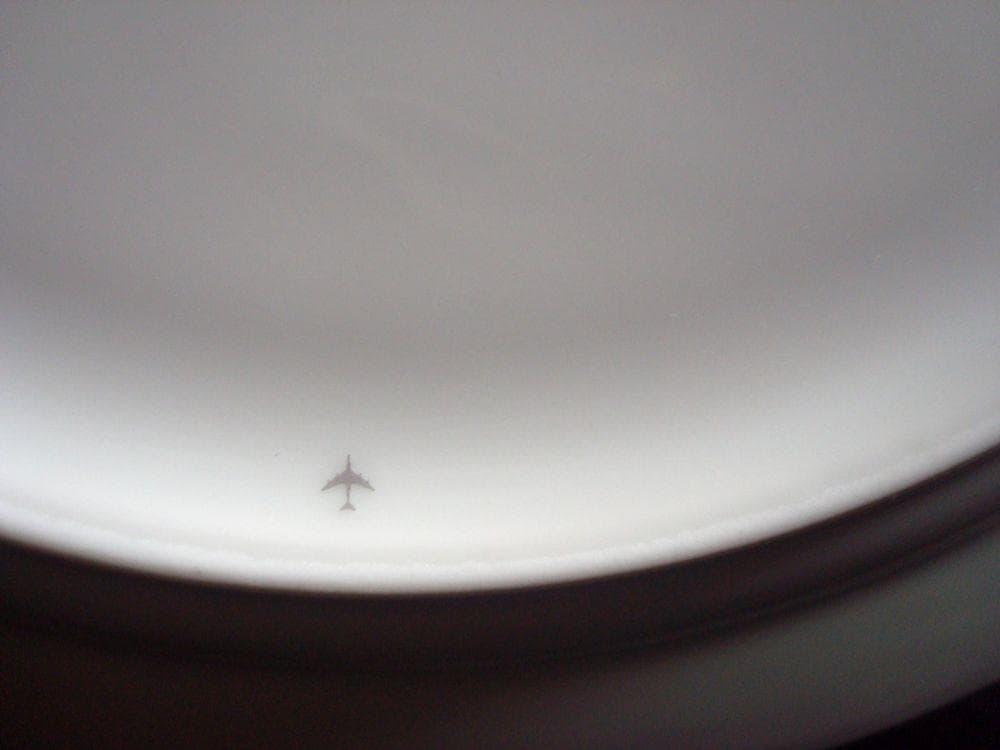 エルメス　プレート　アフリカ　22.5cm　2枚セット