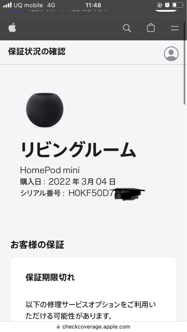 ペンギンApple Pod mini スペースグレー 2個セット