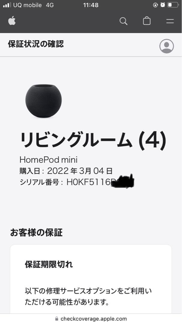 ペンギンApple Pod mini スペースグレー 2個セット