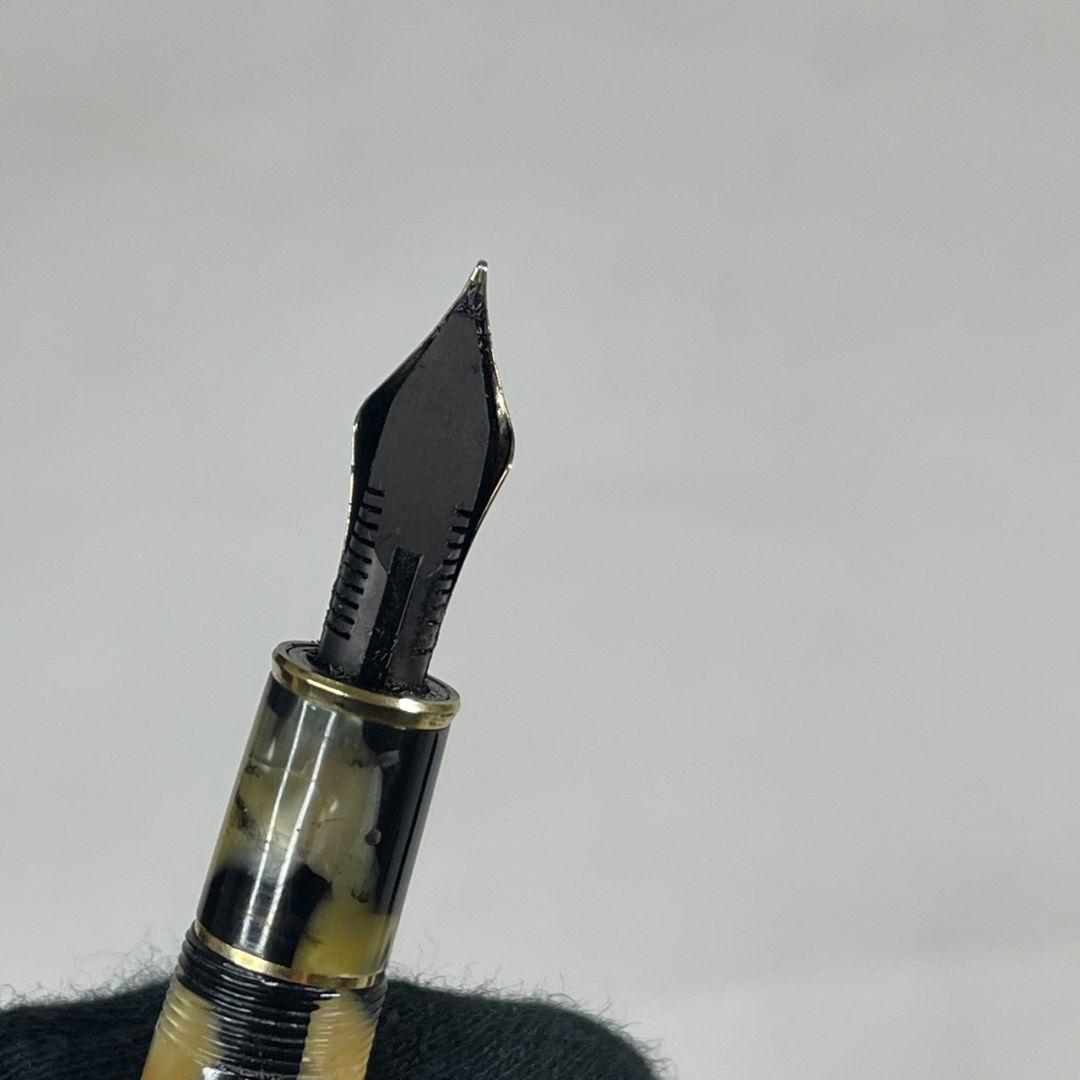 プラチナ 18k 万年筆 3776 セルロイド 石垣柄 中字