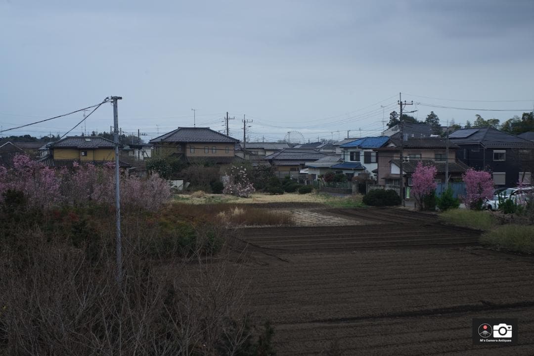 Leica Elmar 赤エルマー 5cm F3.5 L39 119万台