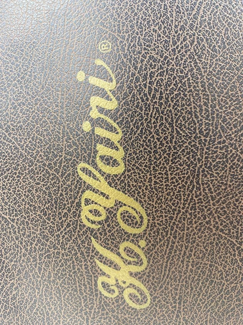 K. Yairi ケーヤイリ RP-1 アコースティックギター ハードケース