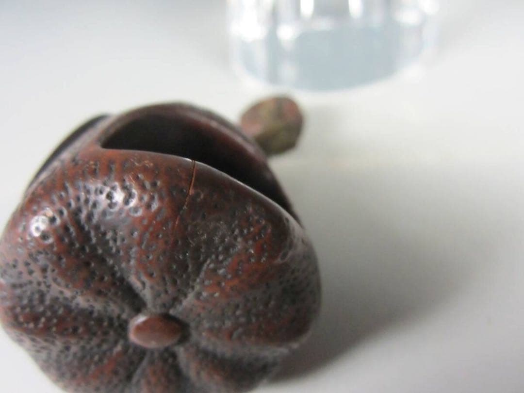 専用 木の実 木彫刻 桐紋彫 緒締め玉 柘植？紐通し 細密細工 古美術