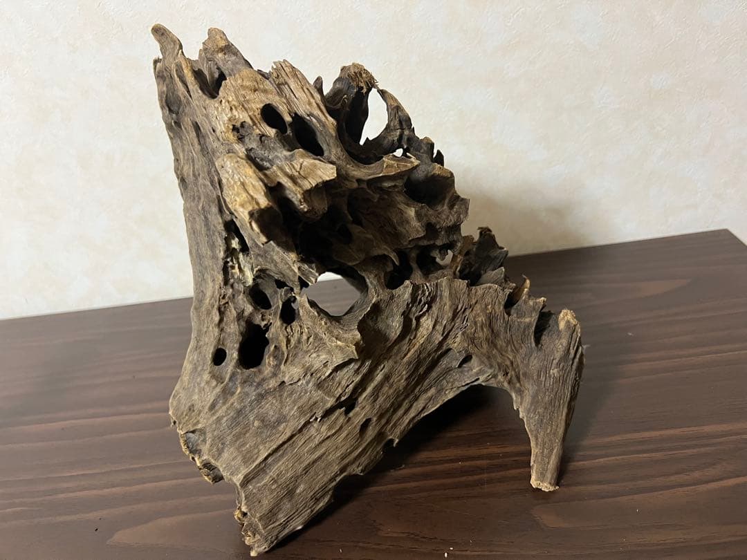 (XM-200)流木　マシンガンウッド　アクアリウム　沈水確認済　ブランチウッド