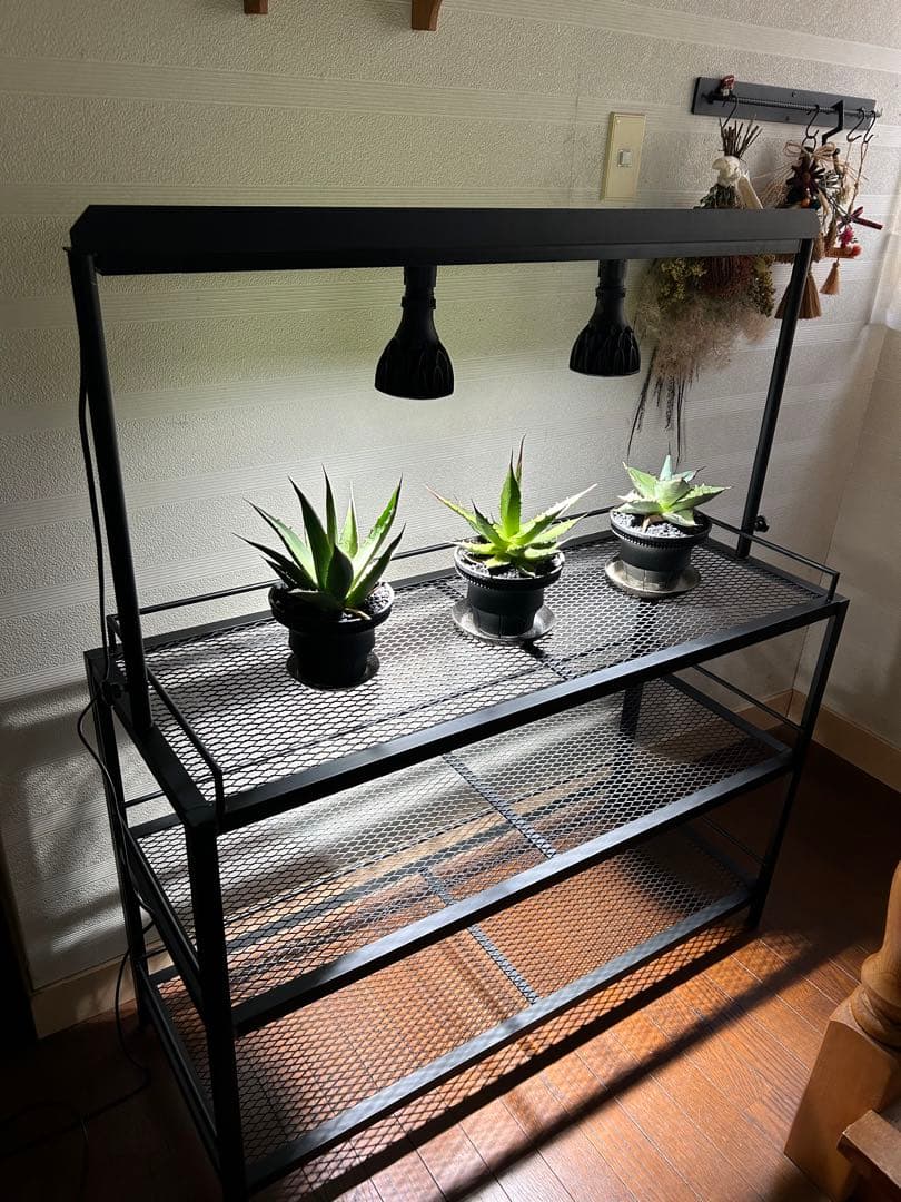 ☆送料込み☆アイアン植物棚　即購入OK ライトレール付　ボタニカル　アガベ