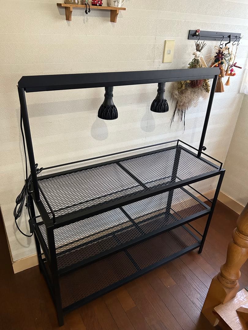 ☆送料込み☆アイアン植物棚　即購入OK ライトレール付　ボタニカル　アガベ