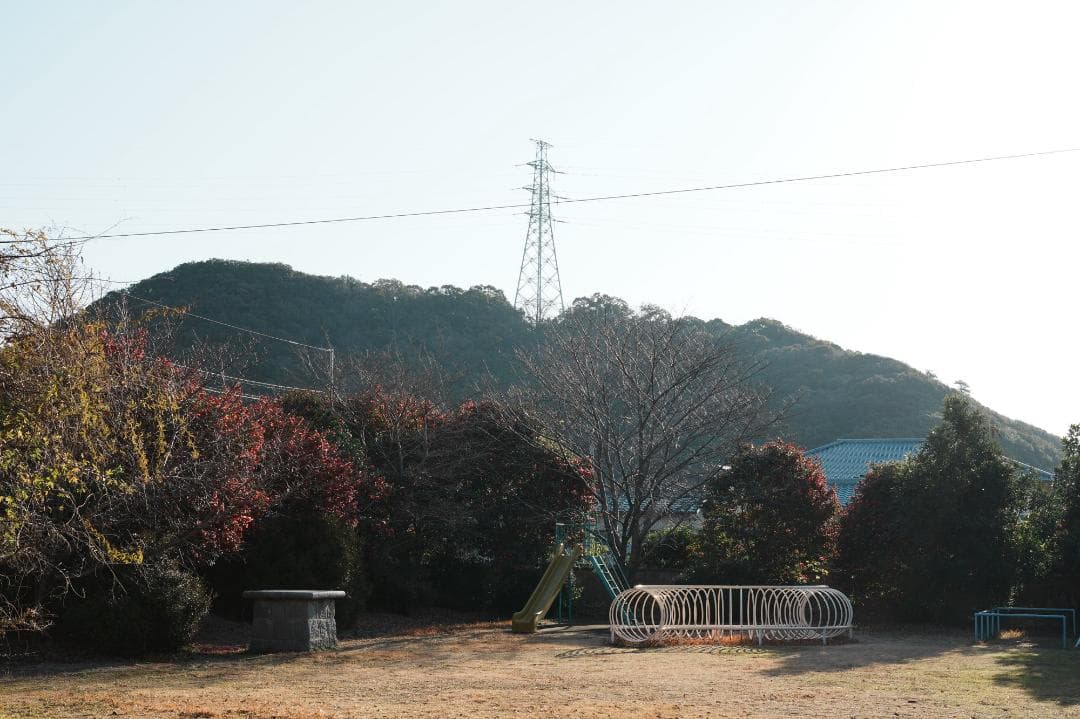 プロ検証済｜SONY FE50mm F1.8 日常を特別に変える 371