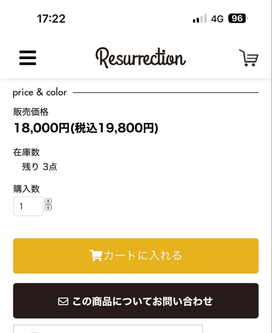 BV レザレクション シューズケース 入れ