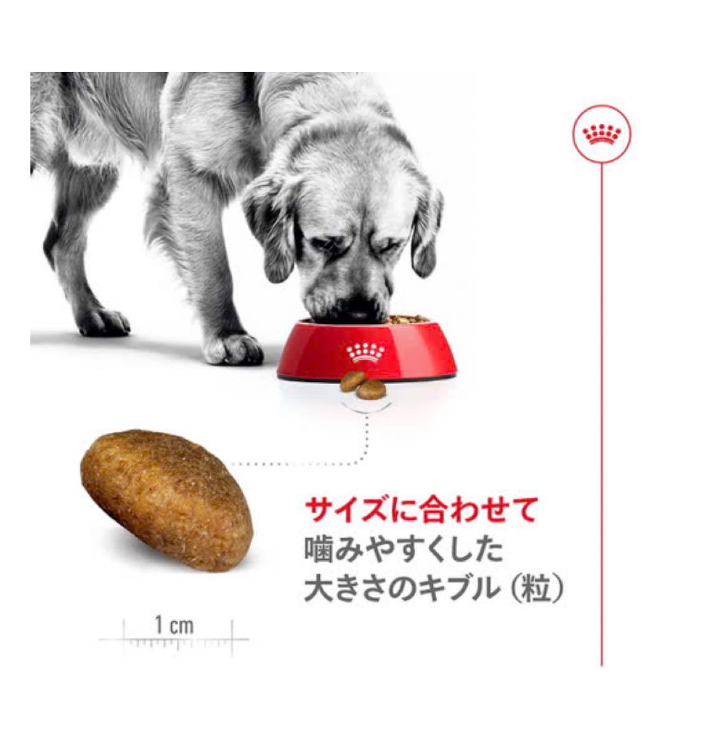  CANAN 大型犬用 ドライフード 16kg 新品未開封