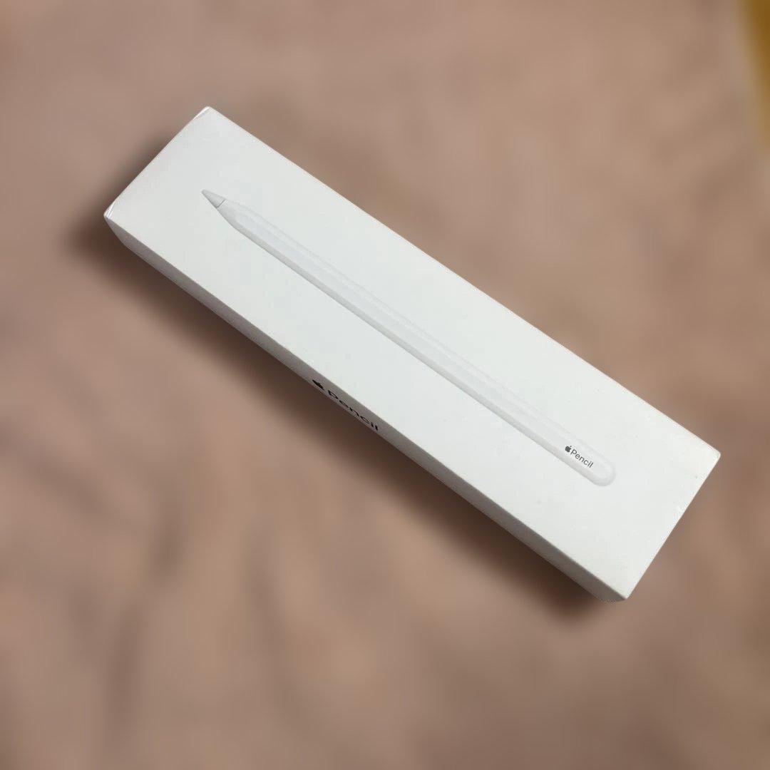 Apple iPad Pro11インチ第一世代シルバー512gb おまけ付き