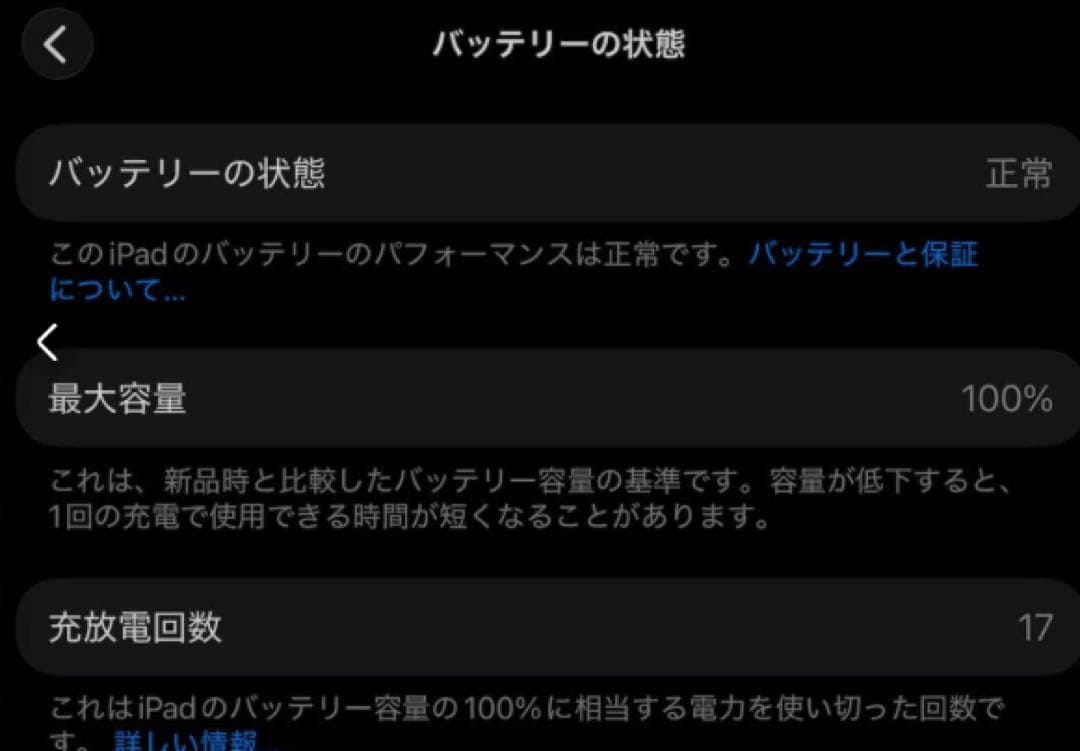 13インチiPad Air M3 Wi-Fi+Cellular 128GB